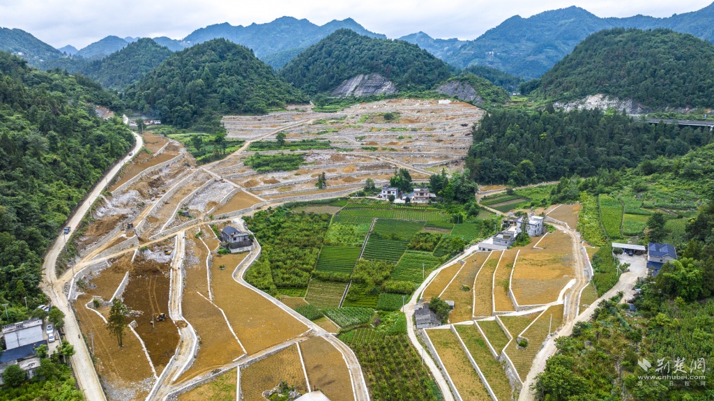 朱维焱)八月,走进宣恩县椒园镇白泥坝村,300余亩全域国土综合整治项目