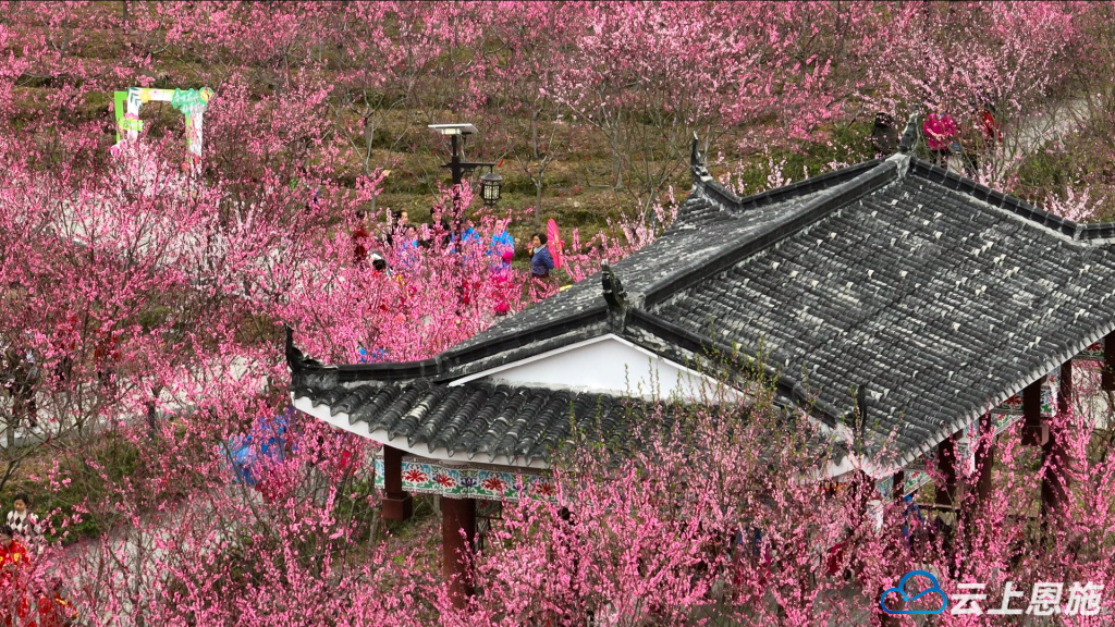 һ羰ͼƬ