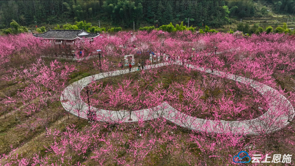 临沧桃花岛风景区图片图片