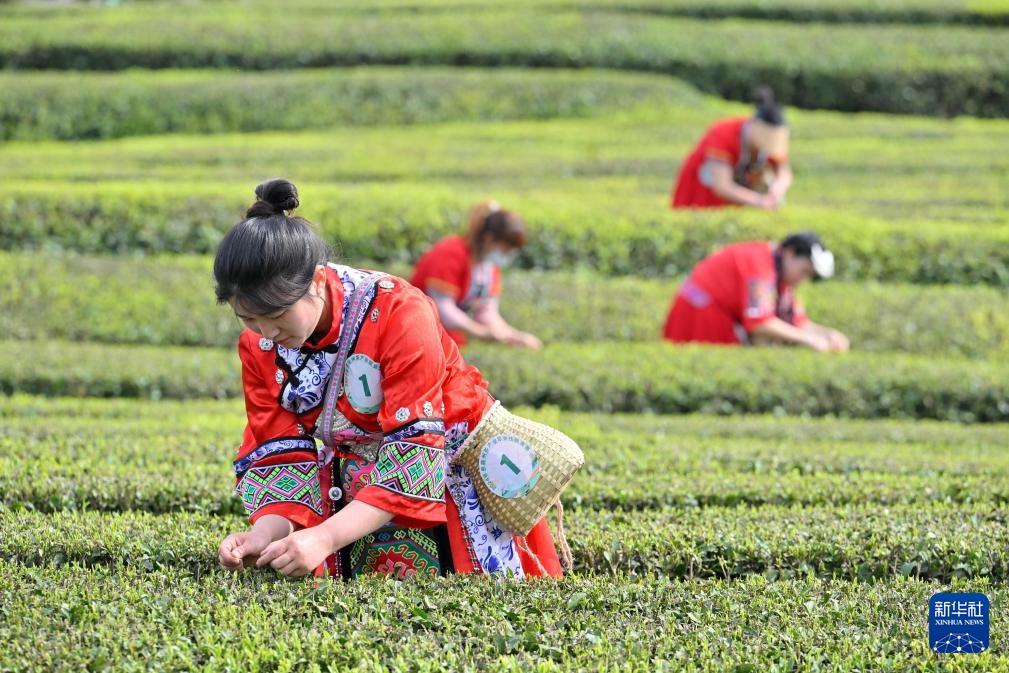 宣恩万寨铁厂沟机场图片