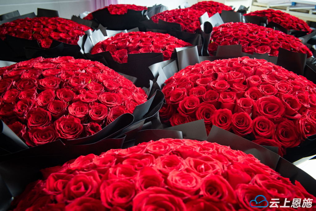 咸丰999朵玫瑰迎接二胎宝妈出产房