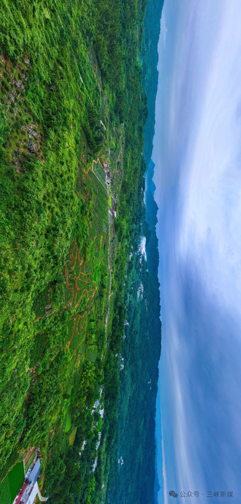 湖北映像 | 来凤,土家文化与藤茶之冠交响辉映-国内国际-云上恩施