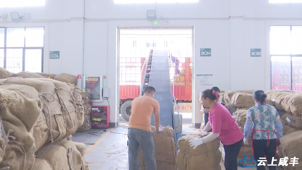 Still0927_00004.bmp Still0927_00004.bmp