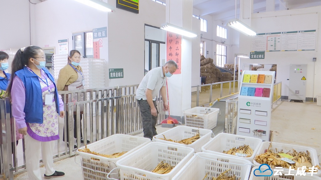 Still0927_00003.bmp Still0927_00003.bmp