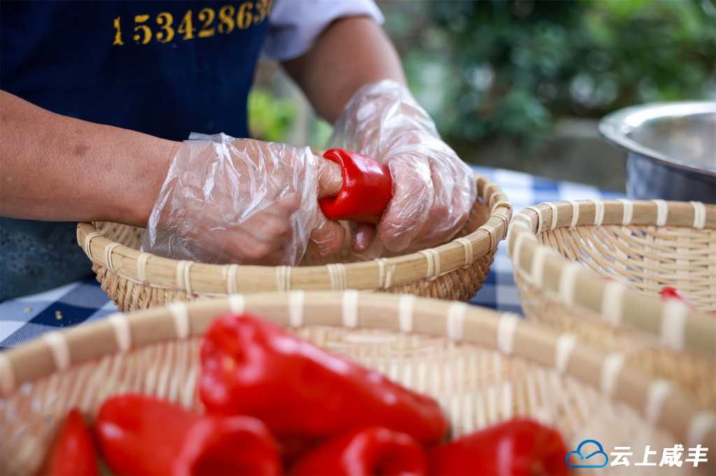 679A1755.jpg 679A1755.jpg