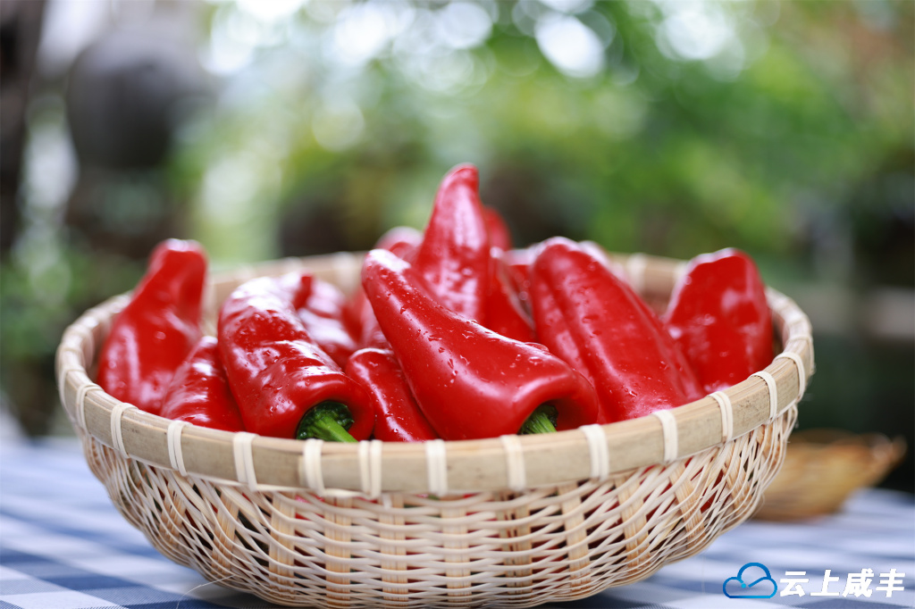 679A1704.jpg 679A1704.jpg