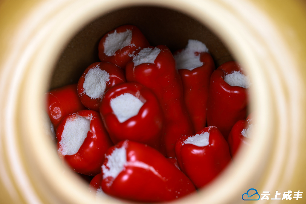 679A1841.jpg 679A1841.jpg