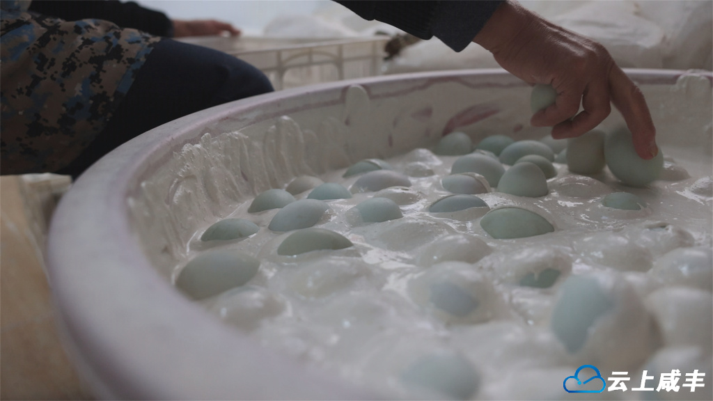 Still1126_00000.jpg Still1126_00000.jpg