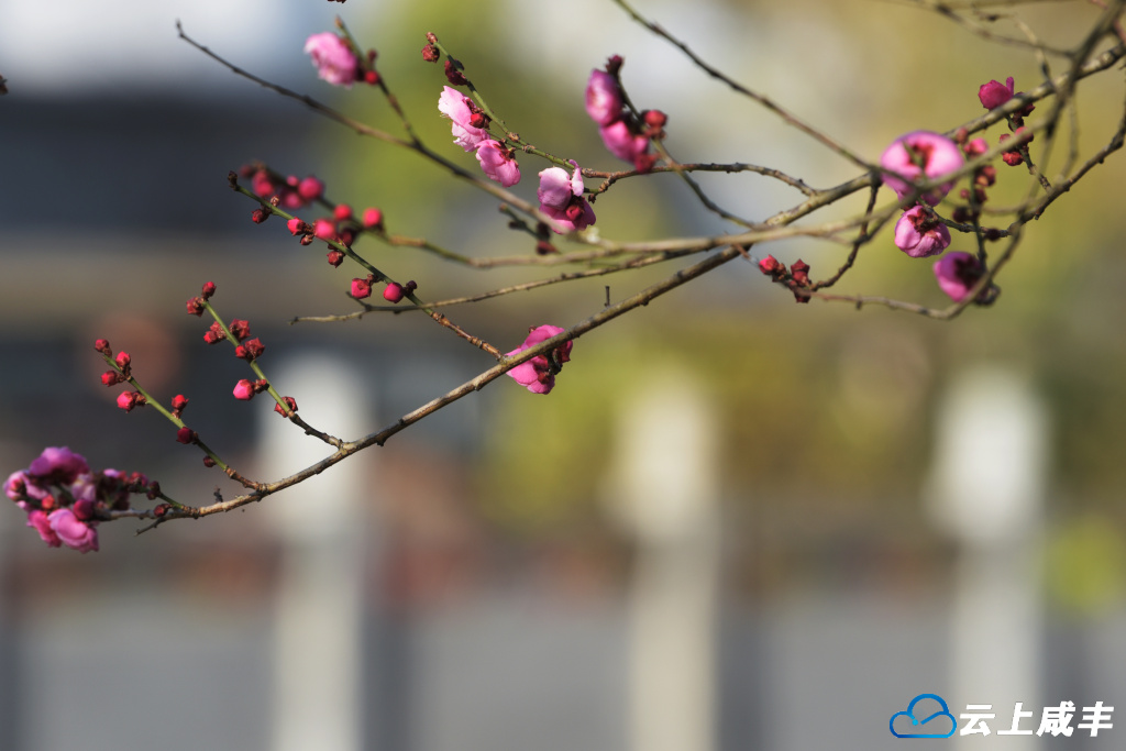 LWJ_4231_副本.jpg LWJ_4231_副本.jpg