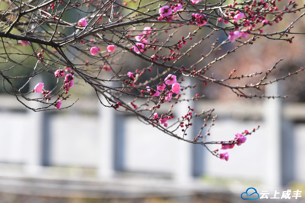 LWJ_4251_副本.jpg LWJ_4251_副本.jpg