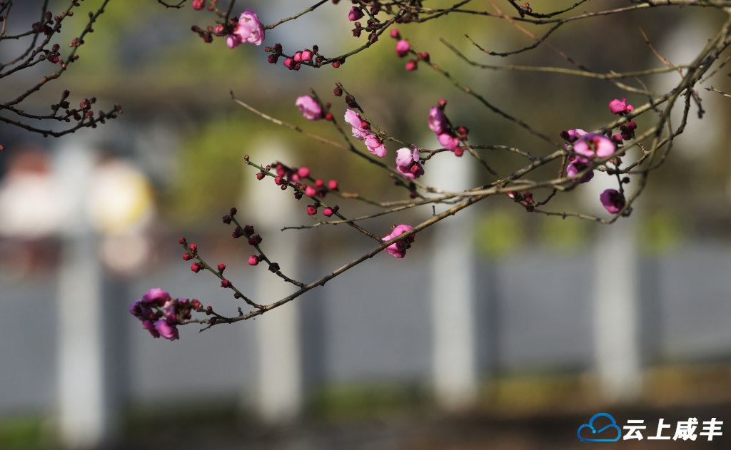 LWJ_4220_副本.jpg LWJ_4220_副本.jpg