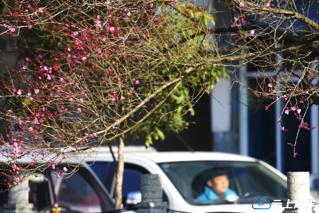 LWJ_4259_副本.jpg LWJ_4259_副本.jpg