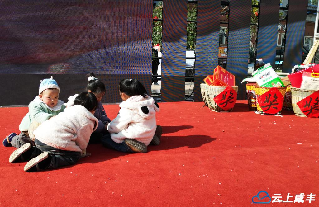 DJI_0049_副本_副本.jpg DJI_0049_副本_副本.jpg