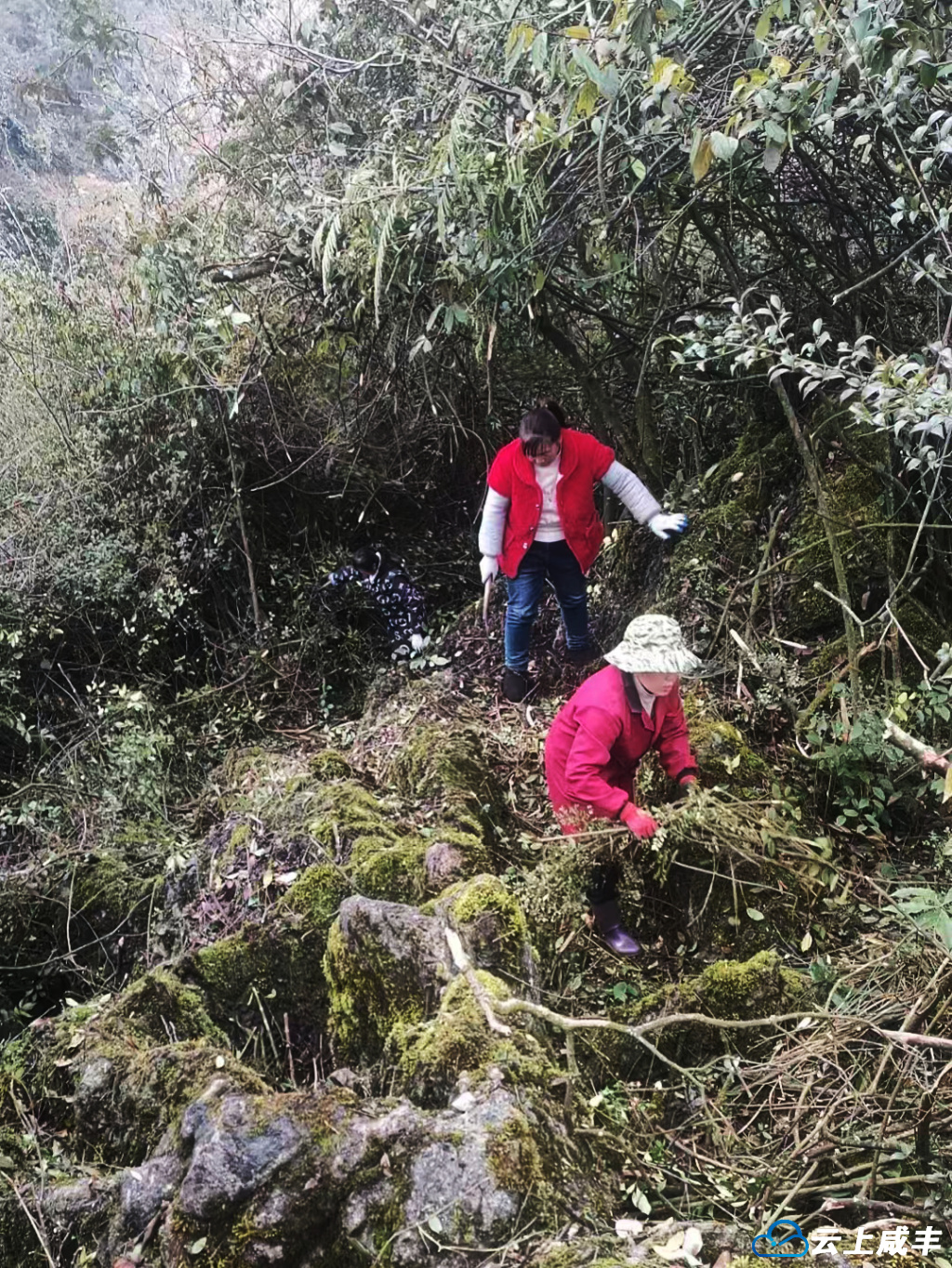 官敞坝村：在“老鹰嘴”放飞“旅游梦”