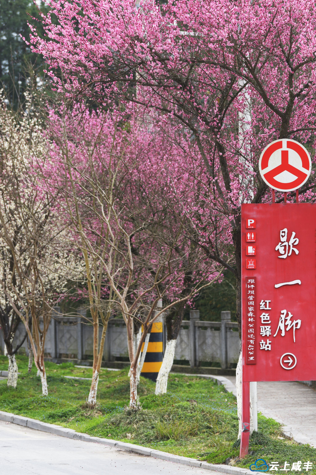 公路美景如画卷