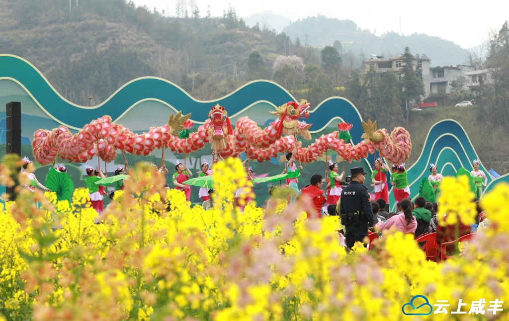 花田有戏 春满大路坝
