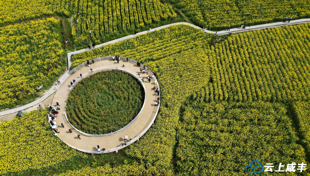 荆南春美  乐享春光