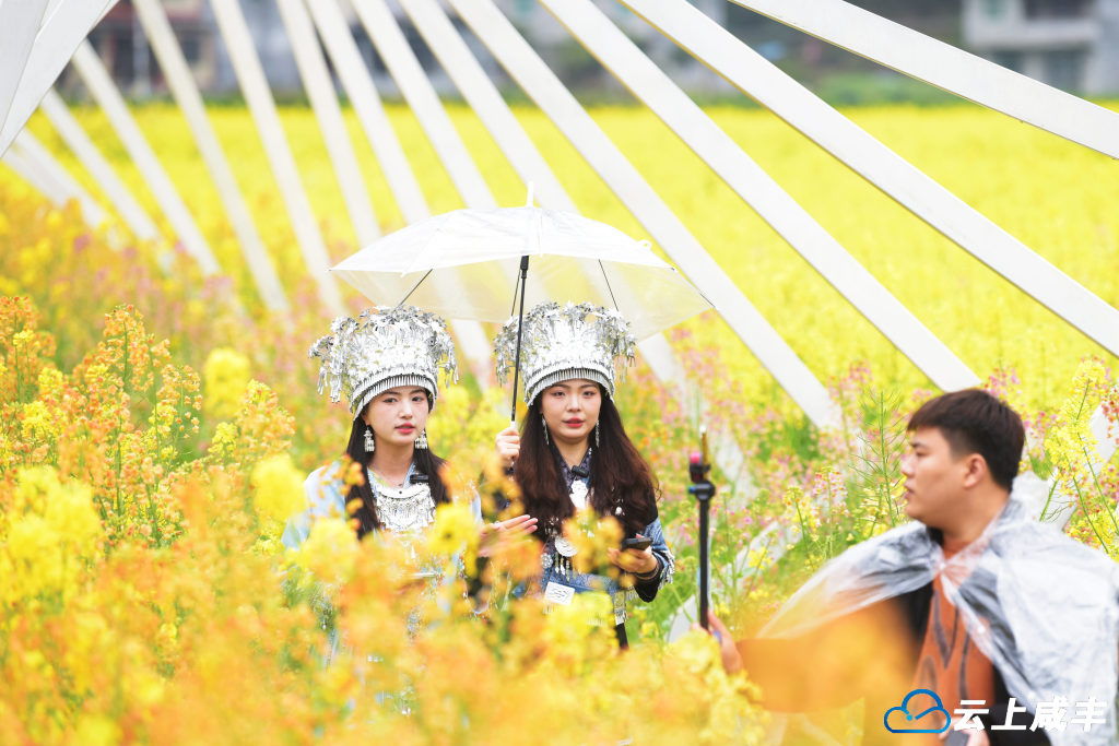 3月23日,主播在咸丰县大路坝区油菜花海直播带风景。全媒体记者李维君摄.jpg 3月23日,主播在咸丰县大路坝区油菜花海直播带风景。全媒体记者李维君摄.jpg