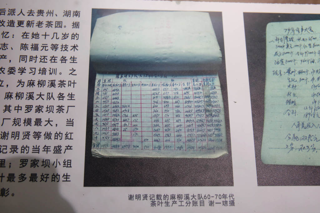 【学习强国】湖北咸丰：村里有了“茶博馆”