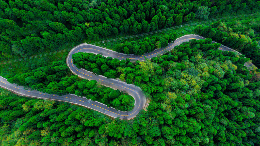 【学习强国】【每日一景】湖北咸丰：在“鄂西林海”来一场夏日“森呼吸”