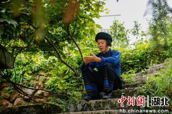 【中新网】客户端｜湖北咸丰：一位山歌传承人的五十年“转调”人生