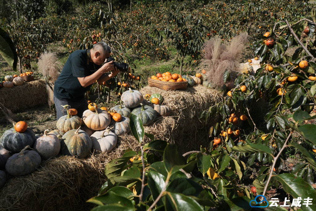 清坪：瓜果飘香润金秋