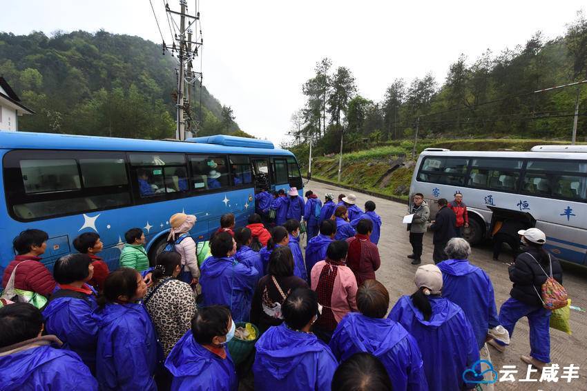 【咸丰白茶 世界共享】外省采茶工“空降”咸丰