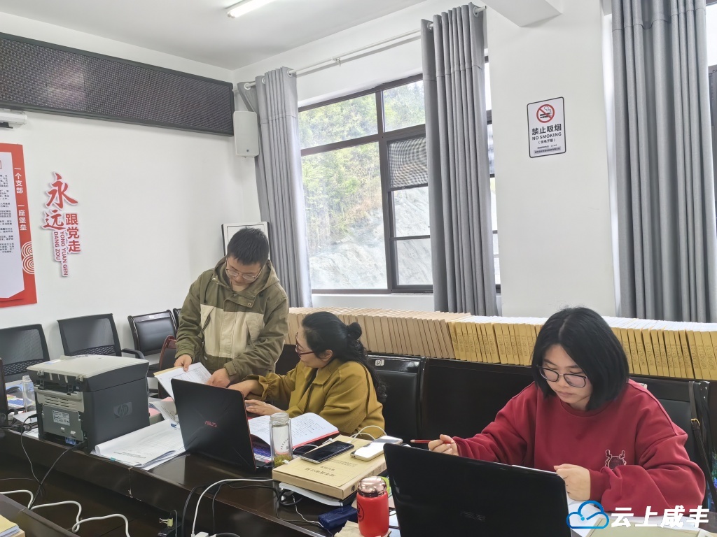 咸丰同步启动三个审计项目