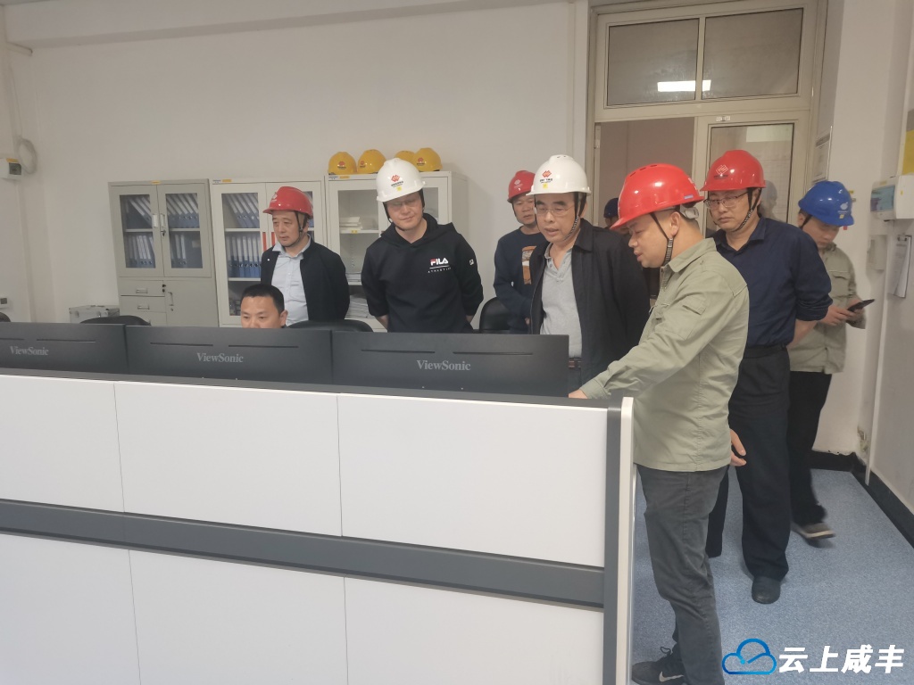 省水利厅检查咸丰小水电站安全生产