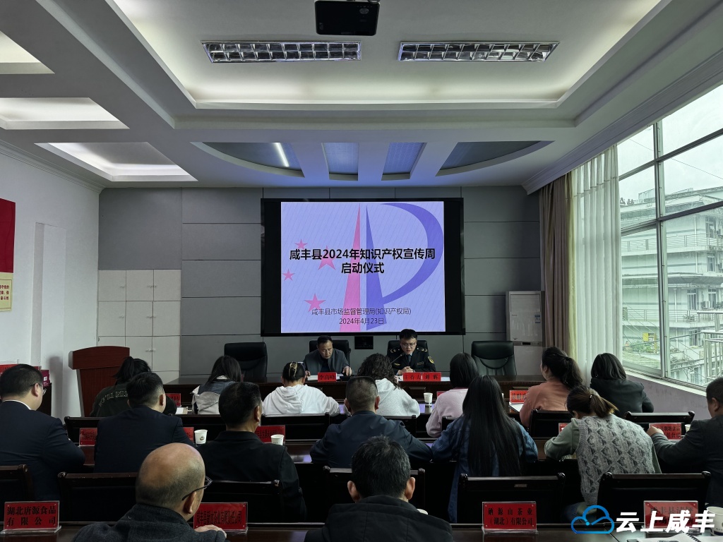 咸丰：知识产权质押融资惠企 已办理7件融资1260万元