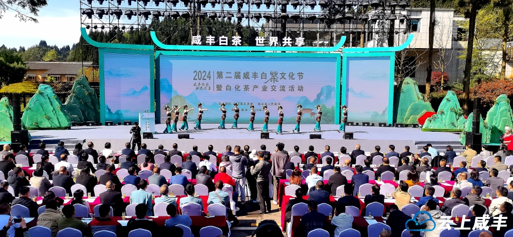 第二届咸丰白茶文化节暨白化茶产业交流活动开幕