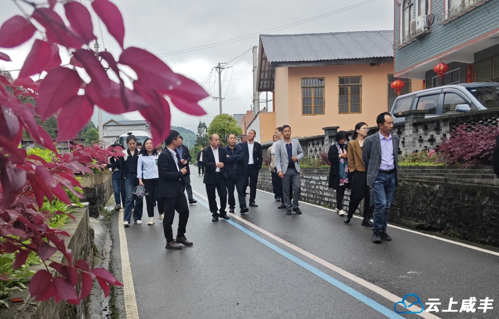 拉练比武——咸丰县聚力红村建设提质增效