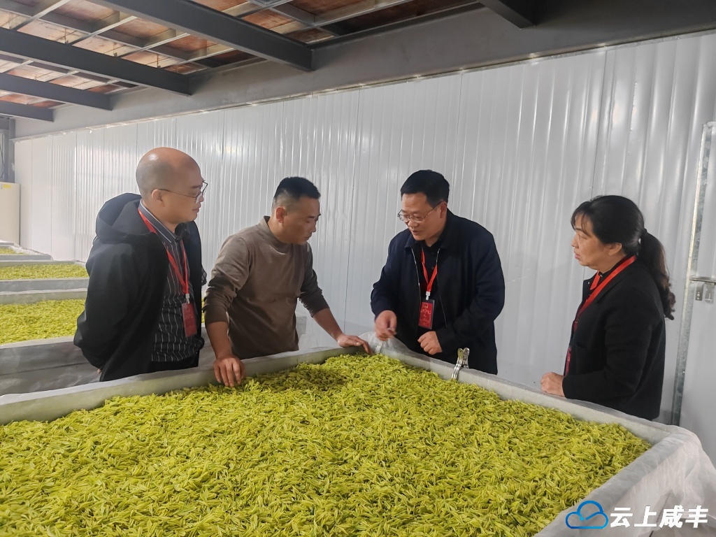 六个聚力——咸丰清坪人大代表赋能红色老区和美乡村建设