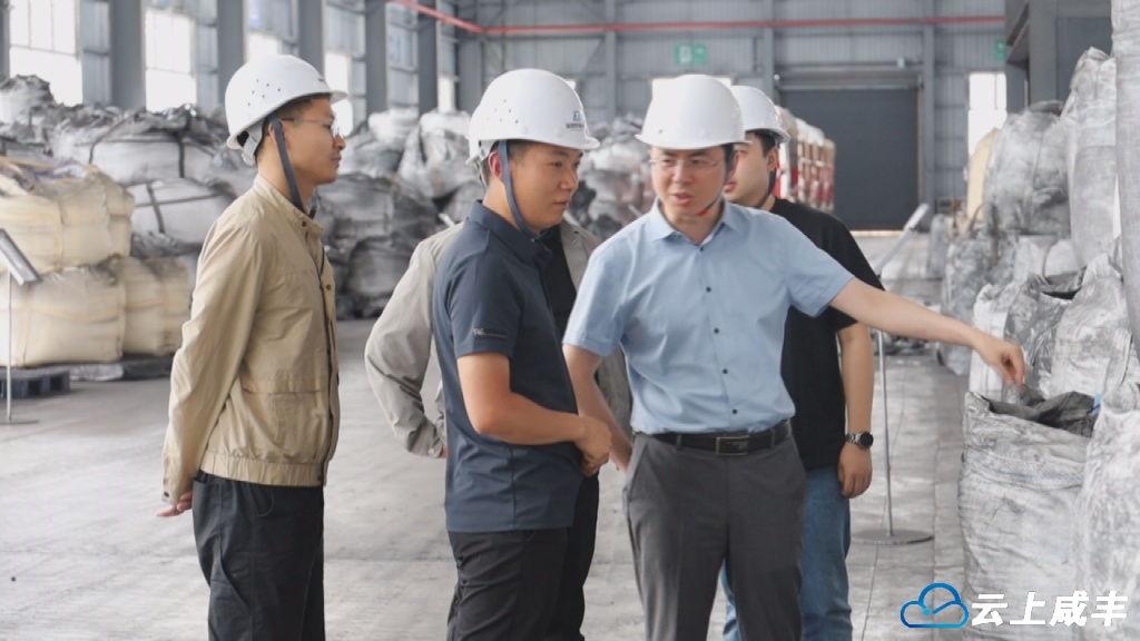 咸丰：“一企一策”精准服务 纾困解难促发展