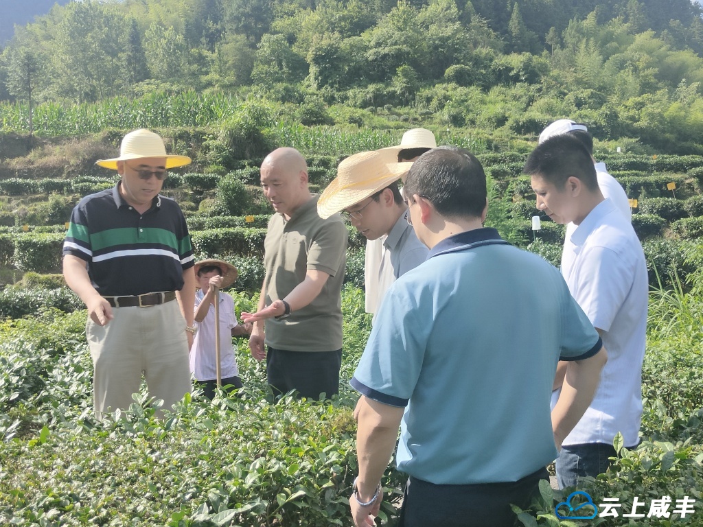 农业农村部一级调研员冯岩来咸丰调研
