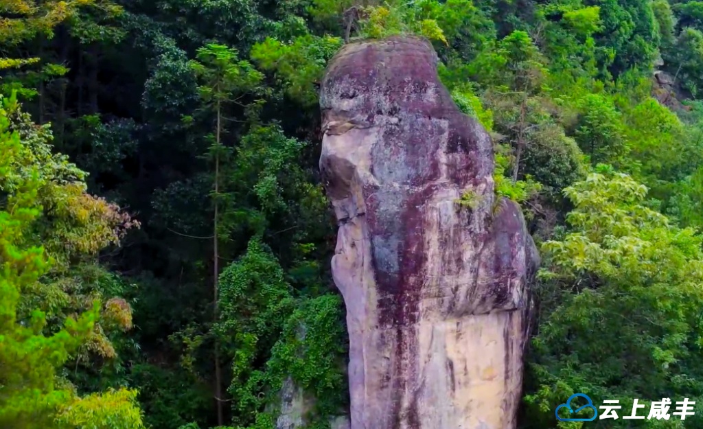 唐崖镇杨家营奇石：人像？像人！