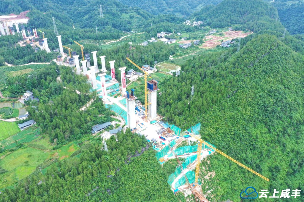 图3 墩柱。周制江 摄.jpg 图3 墩柱。周制江 摄.jpg