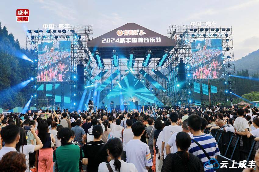 音乐氛围满分！2024咸丰森林音乐节激情开唱