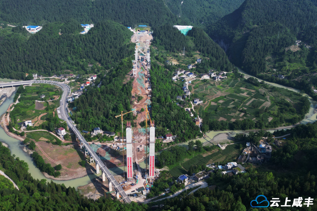 组图｜利咸高速黄河坝特大桥桥墩高耸入云端