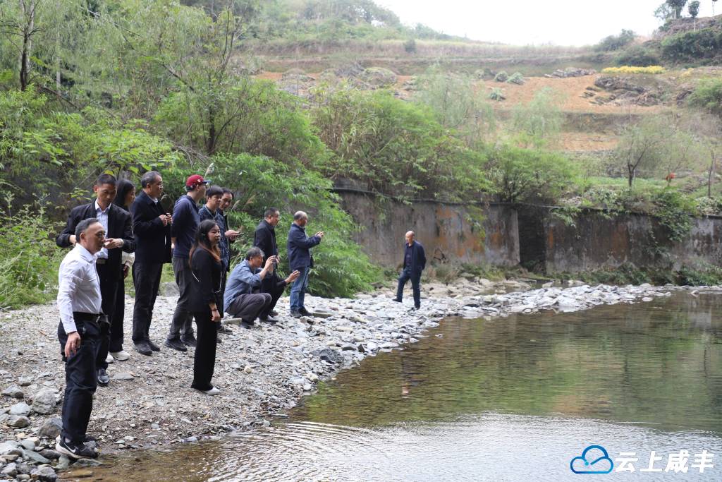 国家评估组来咸调研忠建河大鲵自然保护区生态环境保护工作