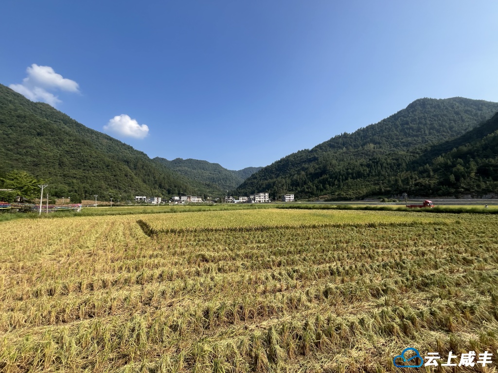 建设高标准农田　助力农户增收