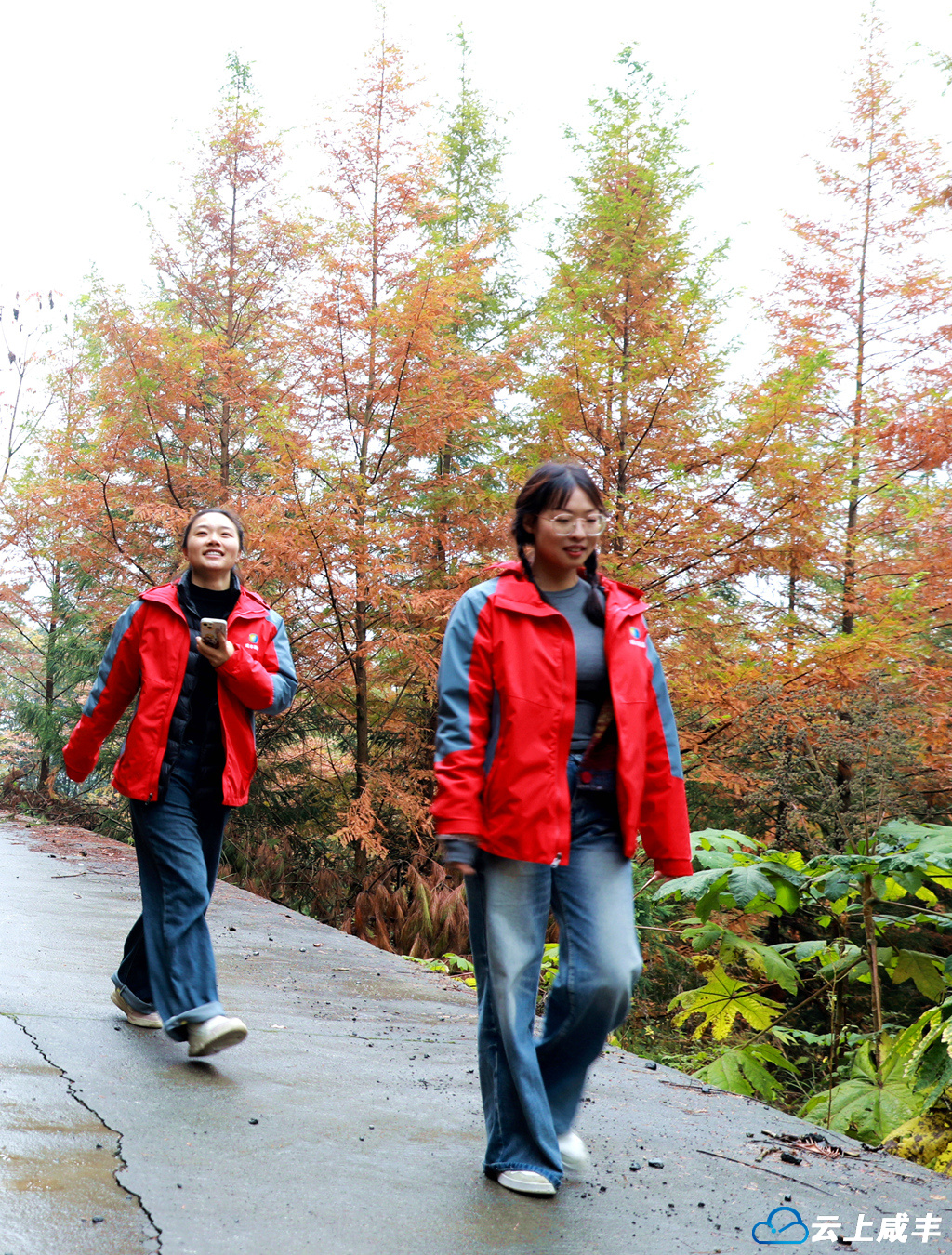 咸丰县融媒体中心 文朝顺 摄 (6)_副本_副本.jpg