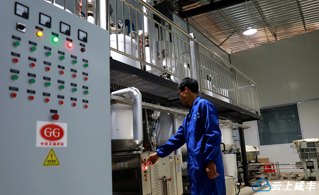 IMGL8712_副本_副本.jpg IMGL8712_副本_副本.jpg