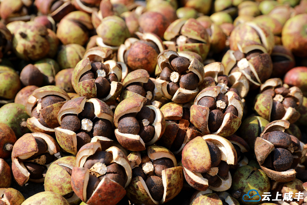 IMGL3599_副本_副本.jpg IMGL3599_副本_副本.jpg