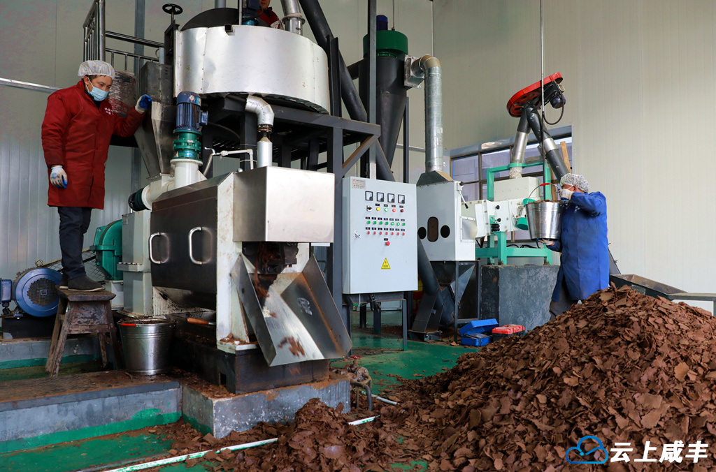 IMGL8683_副本_副本.jpg IMGL8683_副本_副本.jpg