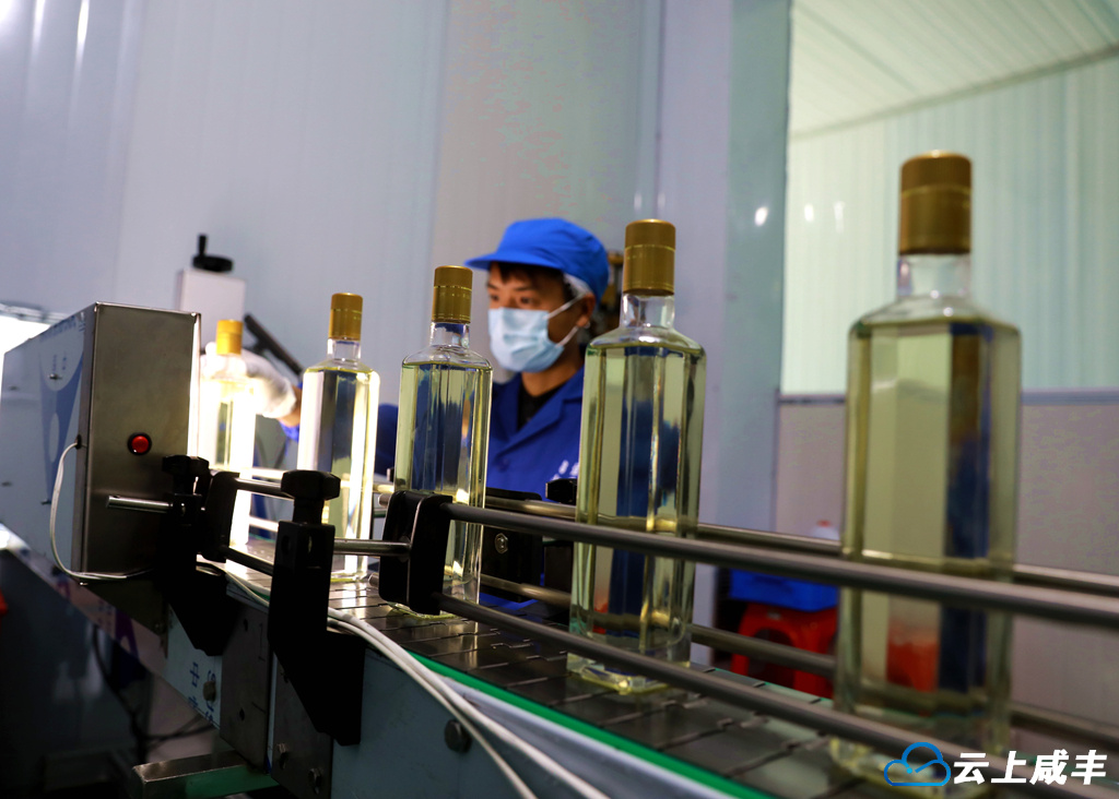 IMGL8818_副本_副本.jpg IMGL8818_副本_副本.jpg