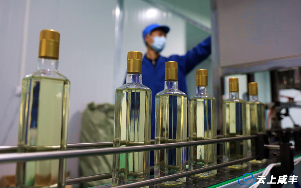 这个山茶油可以喝！