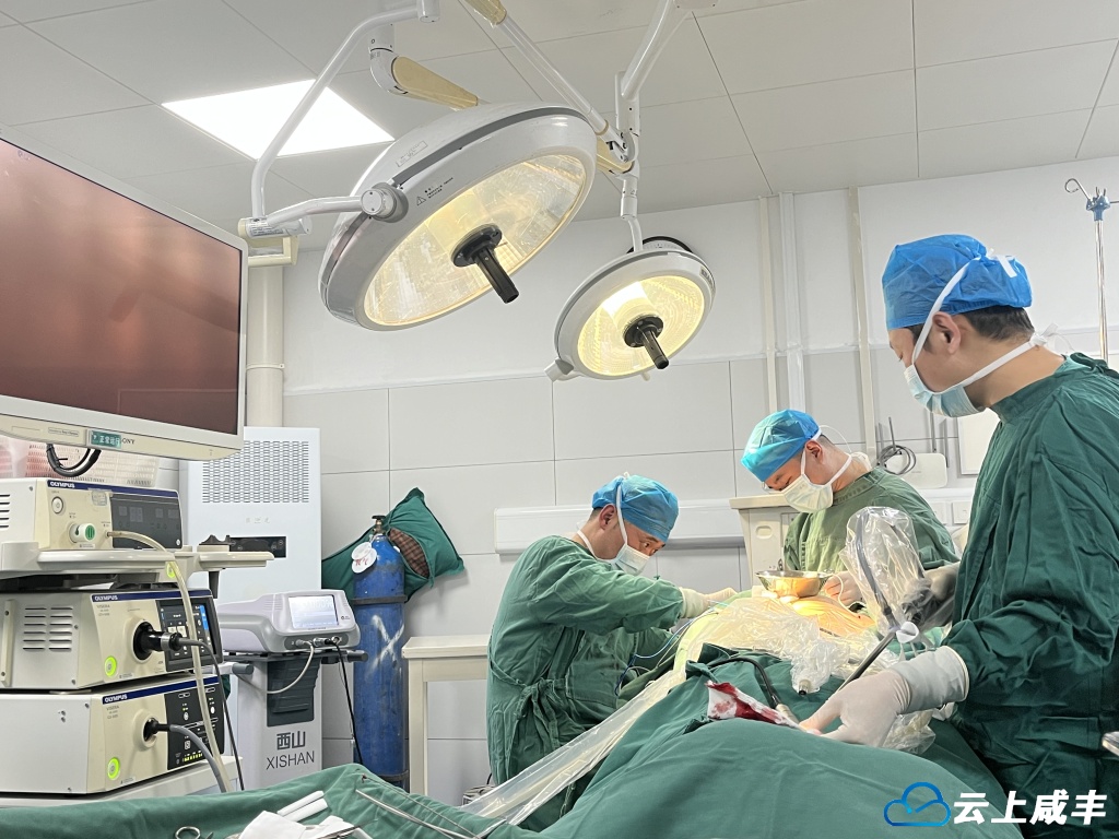 新技术破局“脑内洪水”