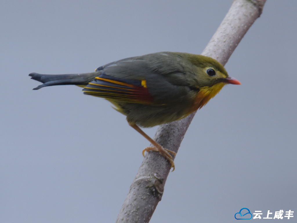 LWJ_2494_副本_副本.jpg LWJ_2494_副本_副本.jpg