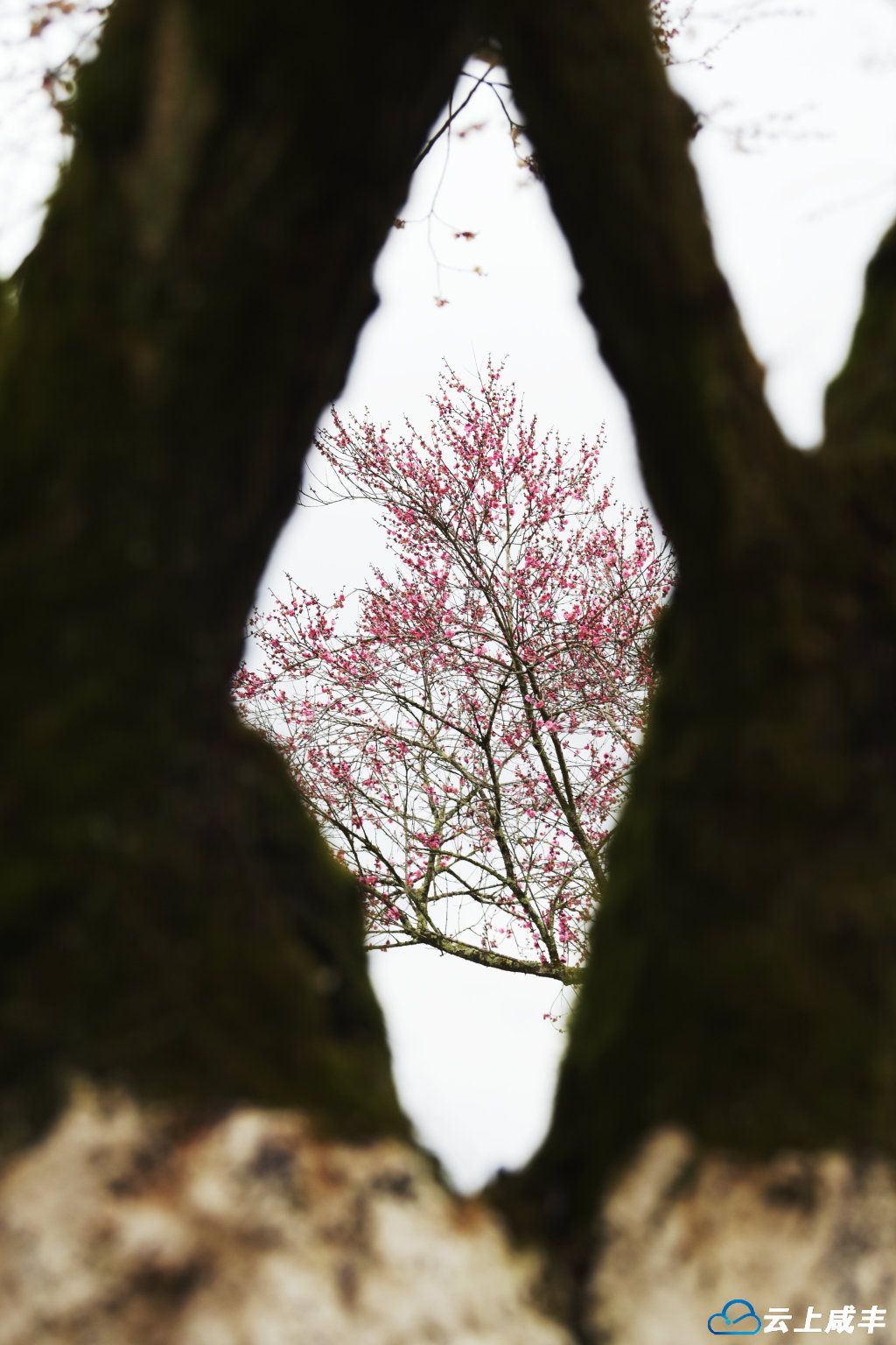 LWJ_2459_副本.jpg LWJ_2459_副本.jpg